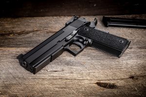 pro long dustcover 22 conversion