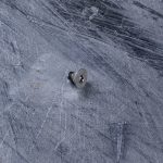 2 56 Torx Head Screw Short