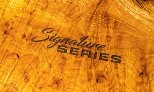 AXI Signature Series Case Detail